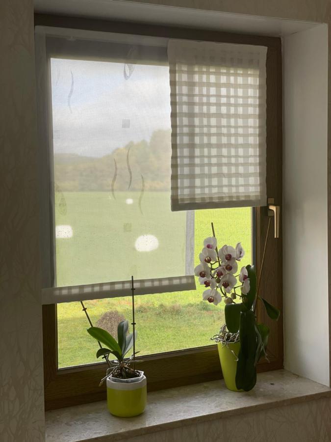 Ferienwohnung Fam.Werner Wasungen Buitenkant foto